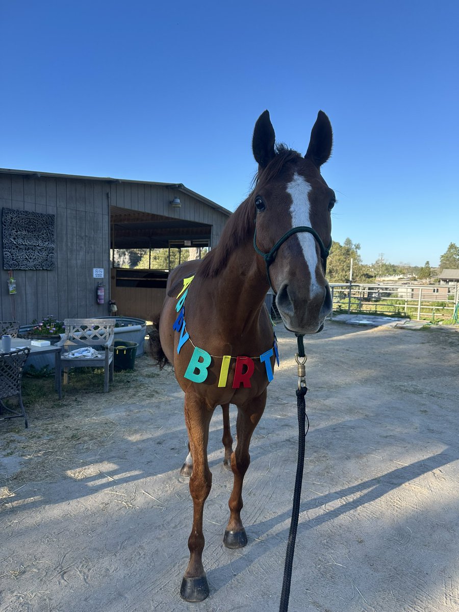 Julie Witt tweet media