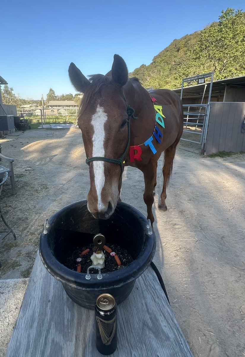 Julie Witt tweet media