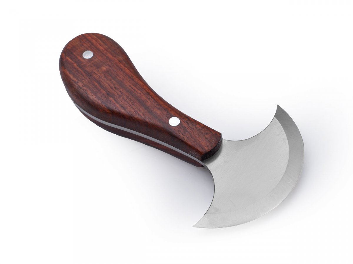 RoDsoN🏝️ tweet media