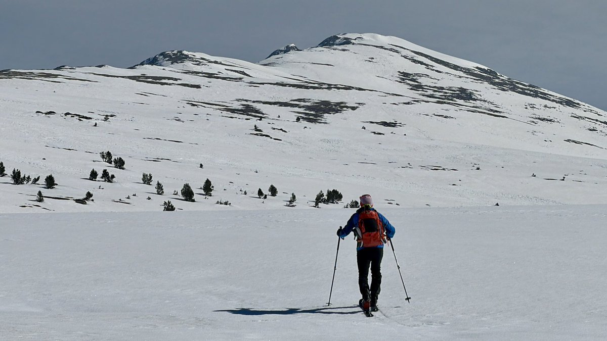 Jaume Jubert Ferré tweet media