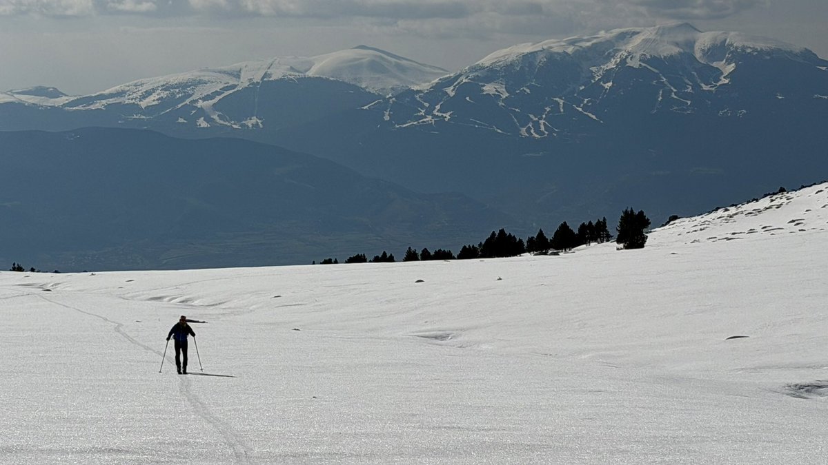 Jaume Jubert Ferré tweet media