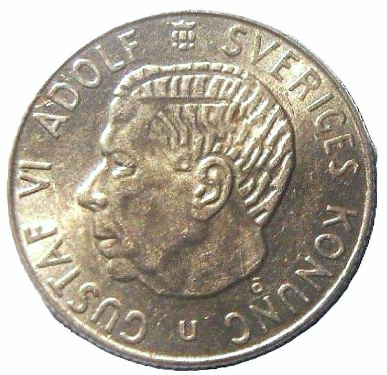 Siriushästen 💙🖤 tweet media