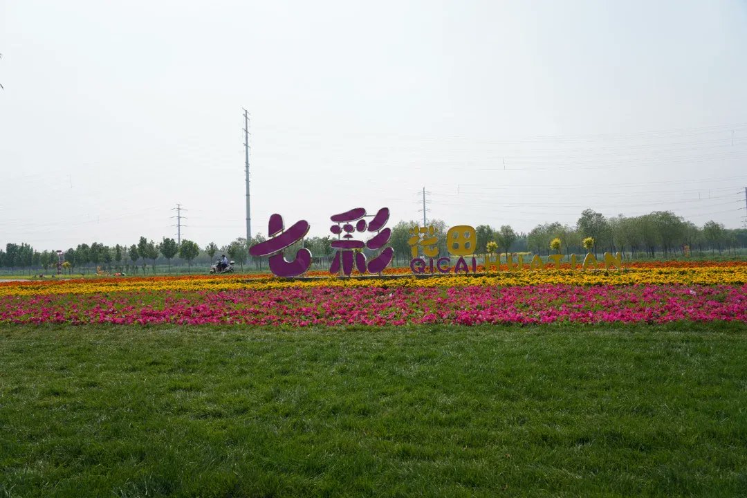 Rengoporsiempre tweet media