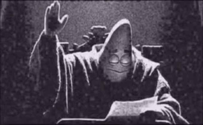 tortuga22 tweet media