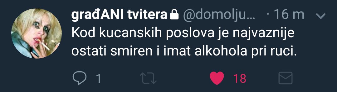 *Moralna Vertikala* Mantodea🍸 tweet media