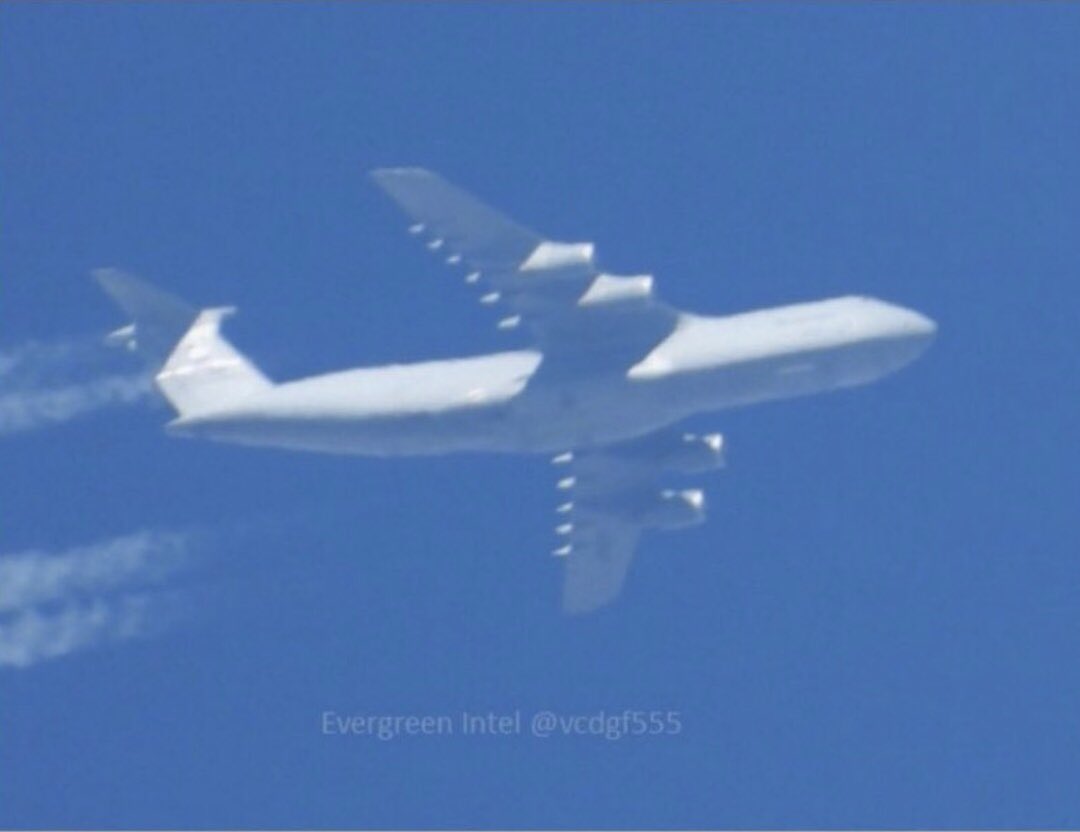 Fighting Stupidity tweet media