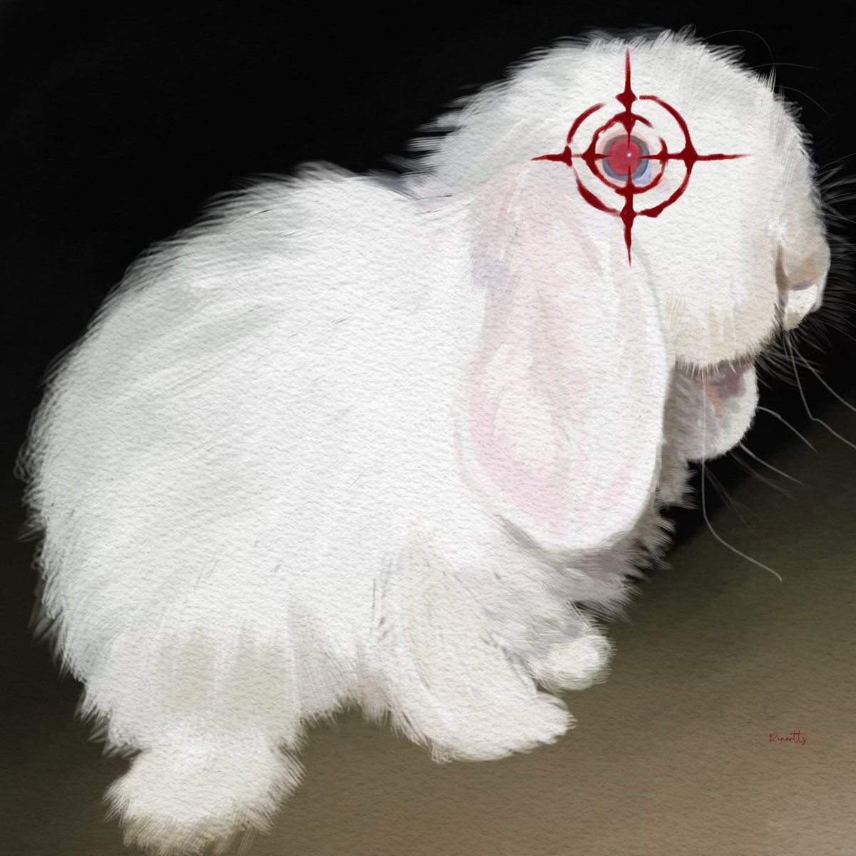 Rin Nova 💫 tweet media