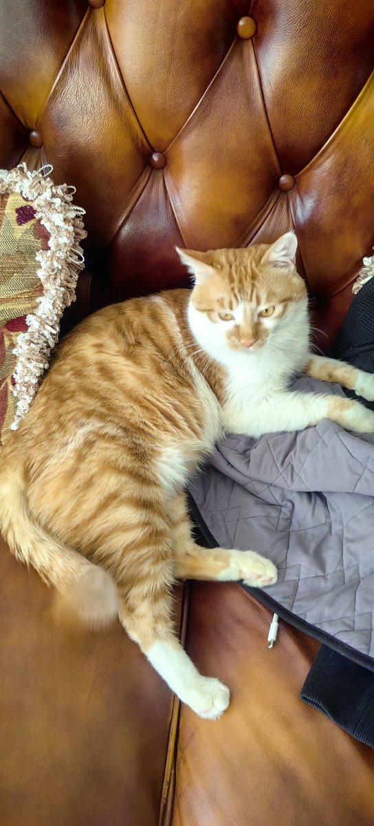 teirra jones tweet media