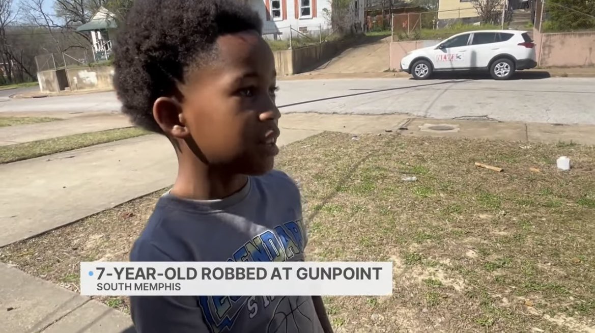 toddstarnes tweet media