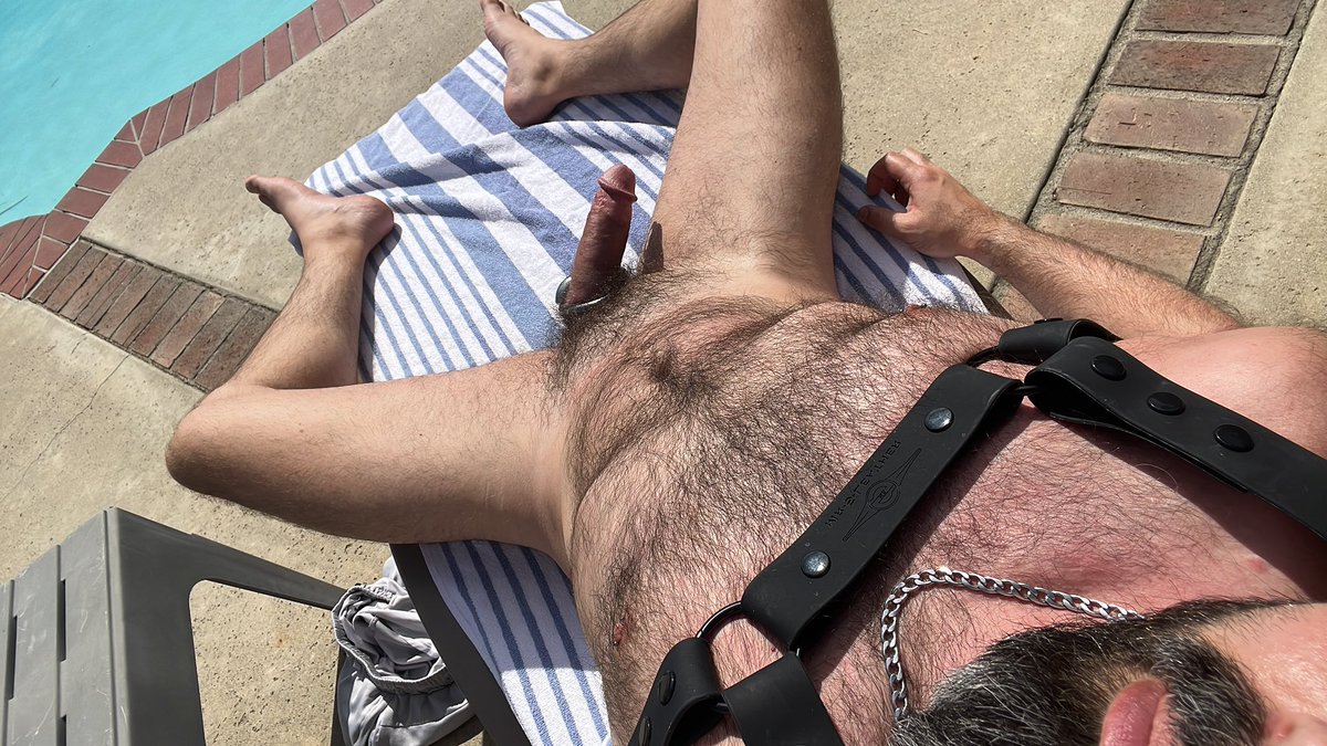 conrad10poly tweet media