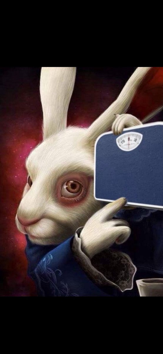 SPODER M🏋🏽‍♂️N tweet media