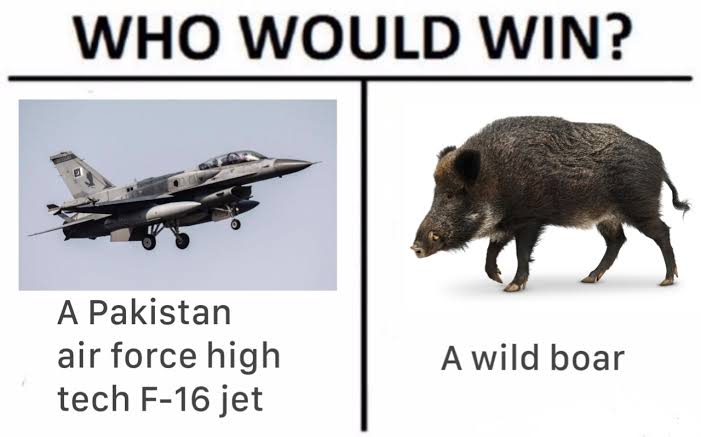 Firstname Lastname☭ tweet media