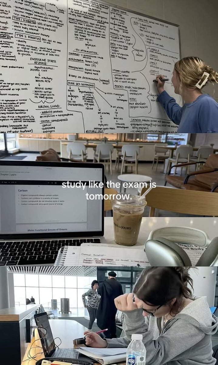 femmenotes tweet media