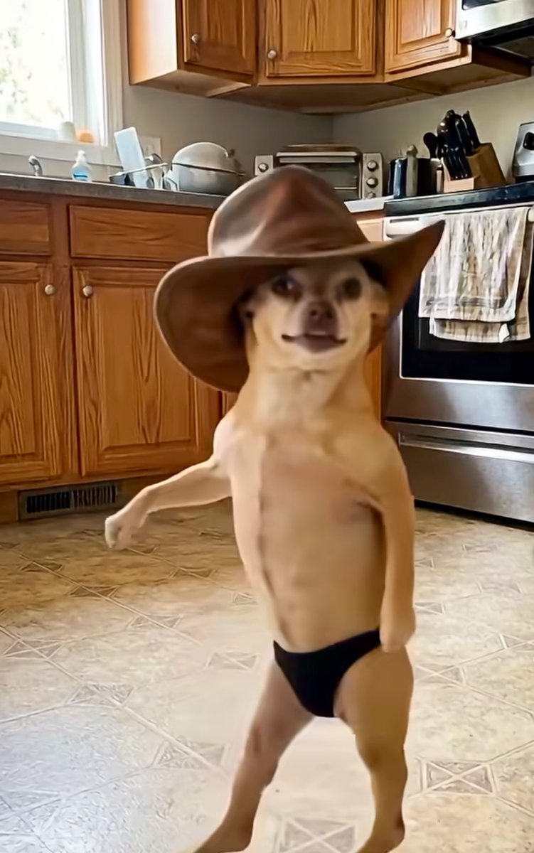 John F Kensil tweet media