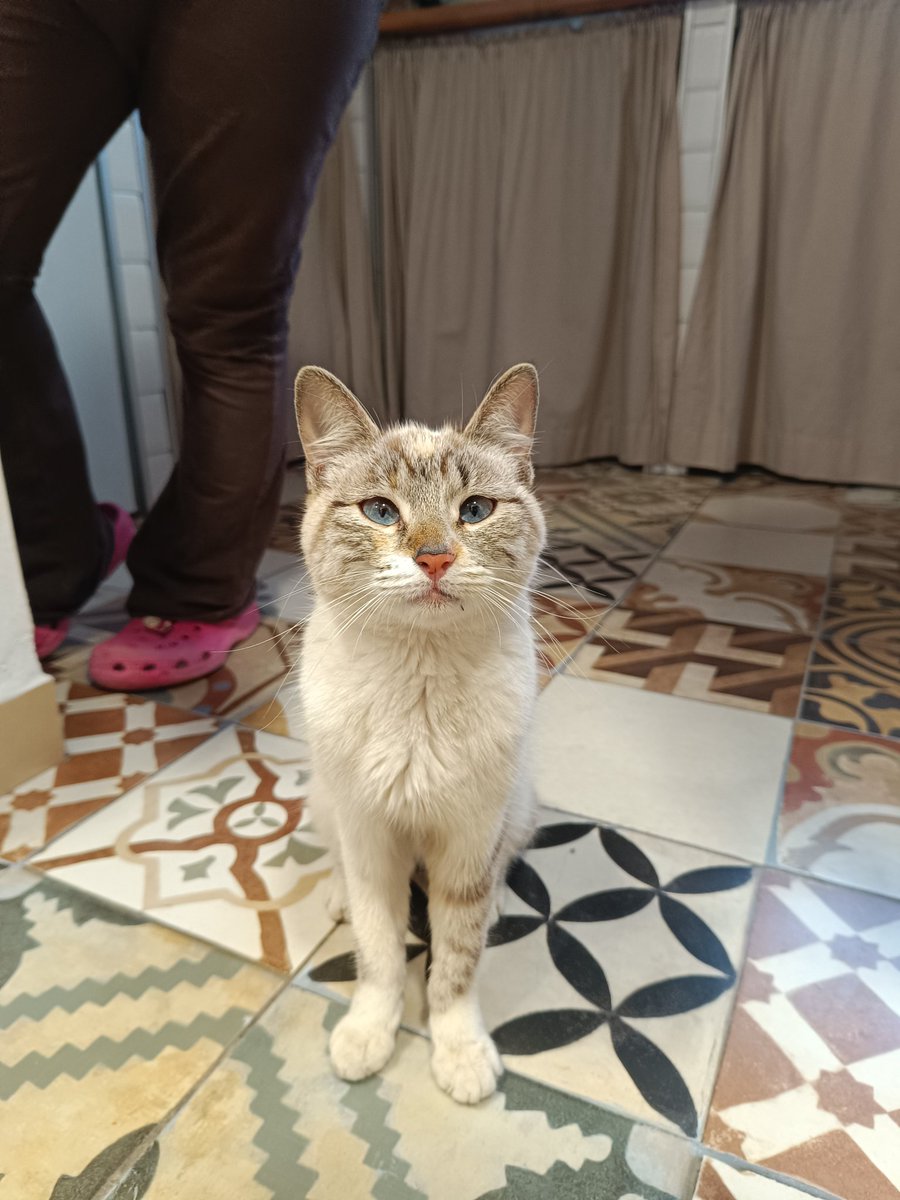 ۞Sansanahoria۞ tweet media