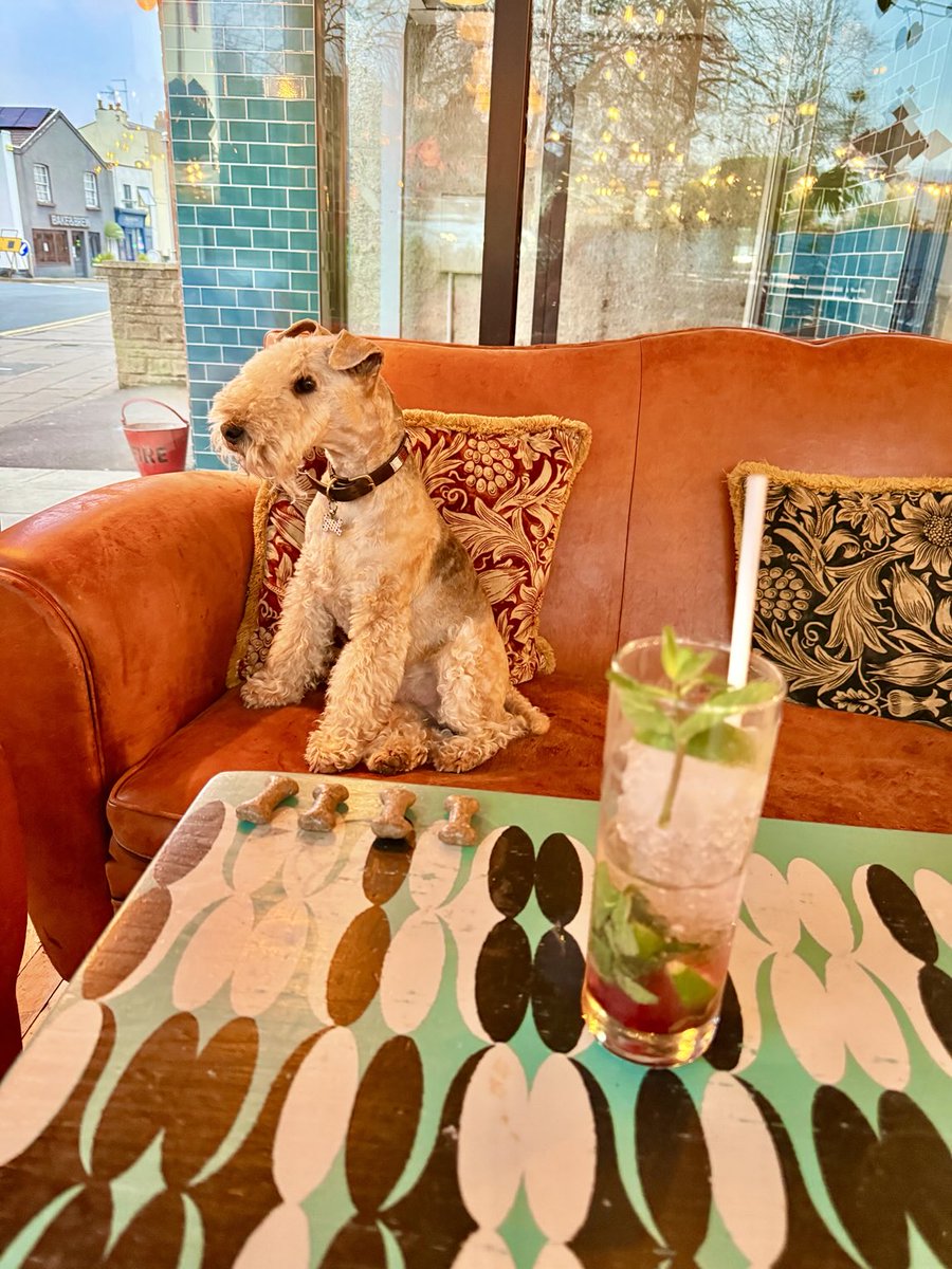 Bertie Lakeland tweet media