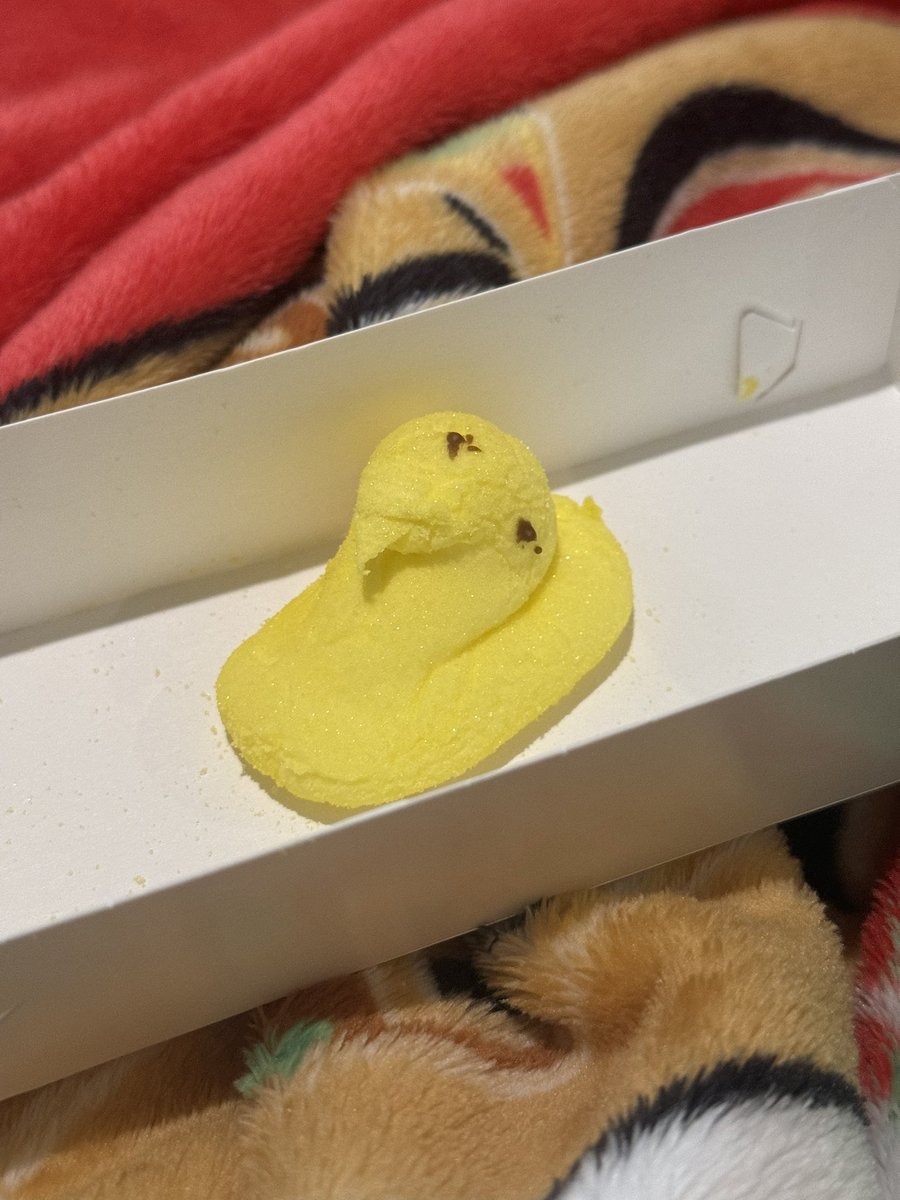 Grey-Dee! tweet media