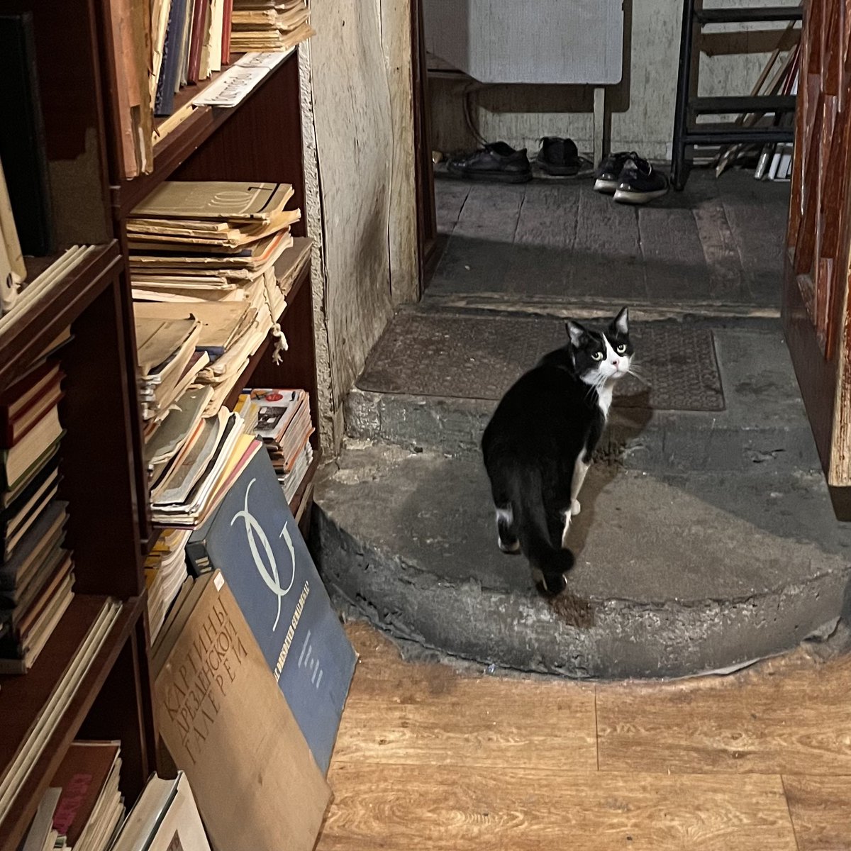 flâneuse tweet media