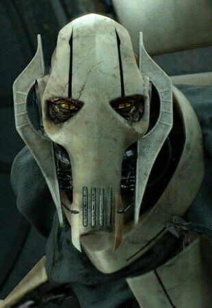 Soren 𓅓 🪶 Grievous’ Husband tweet media