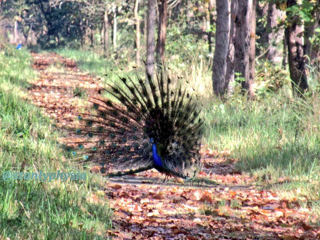 stanly physio🐦 tweet media