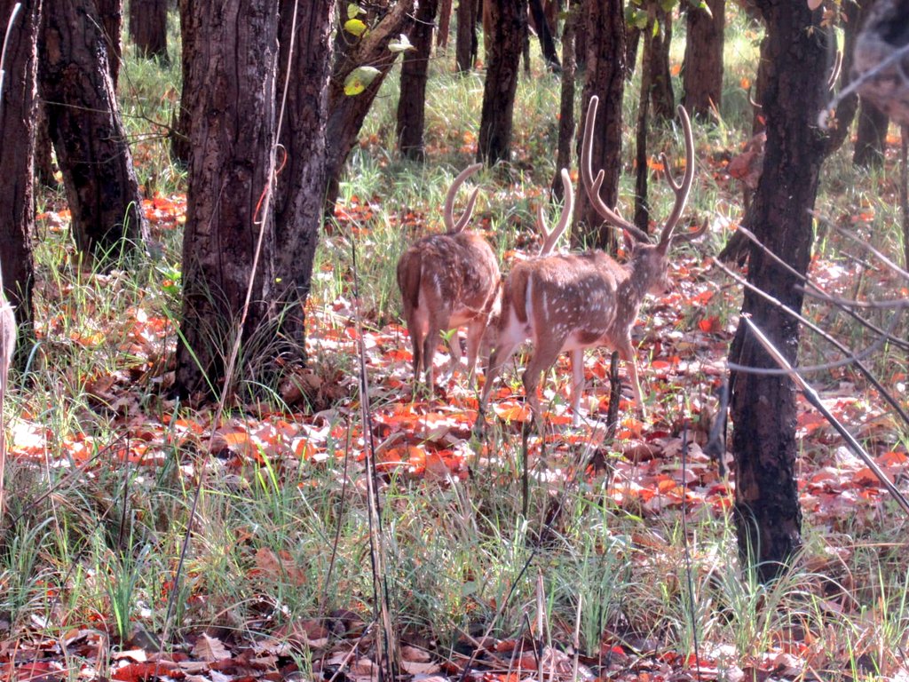 stanly physio🐦 tweet media