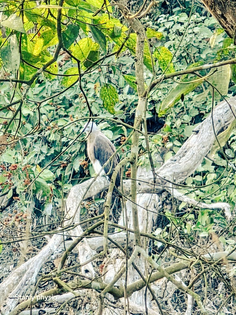 stanly physio🐦 tweet media