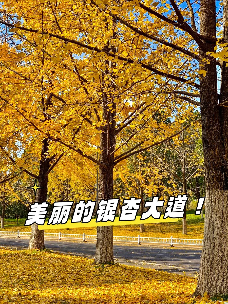 Michael Bauman tweet media