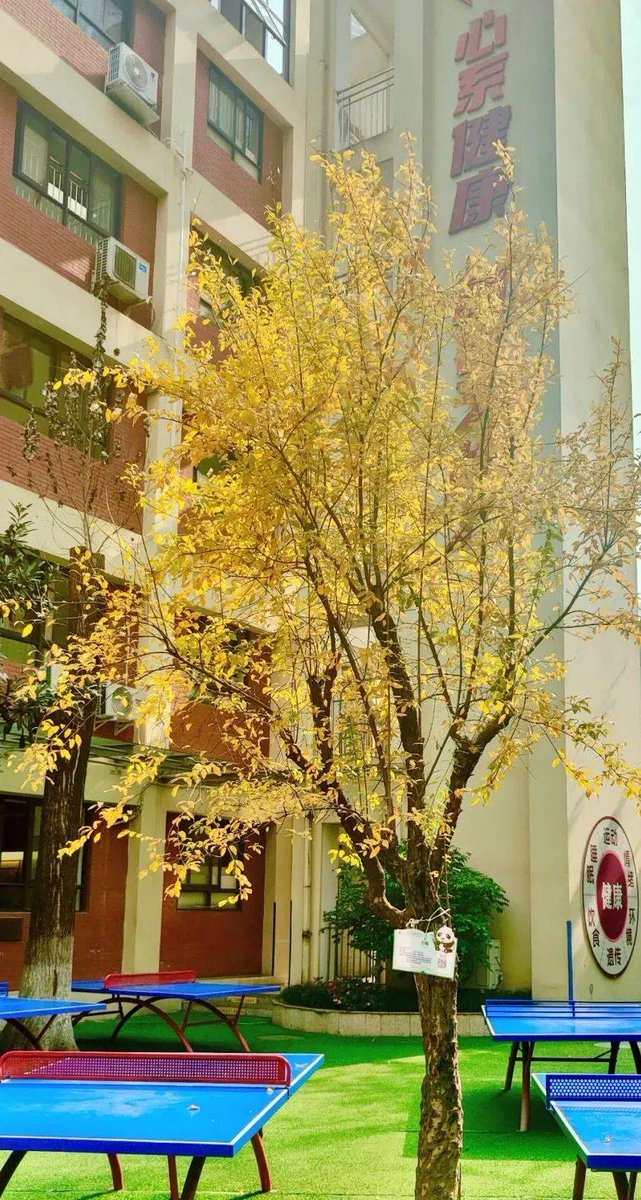 mvishnu kadam tweet media