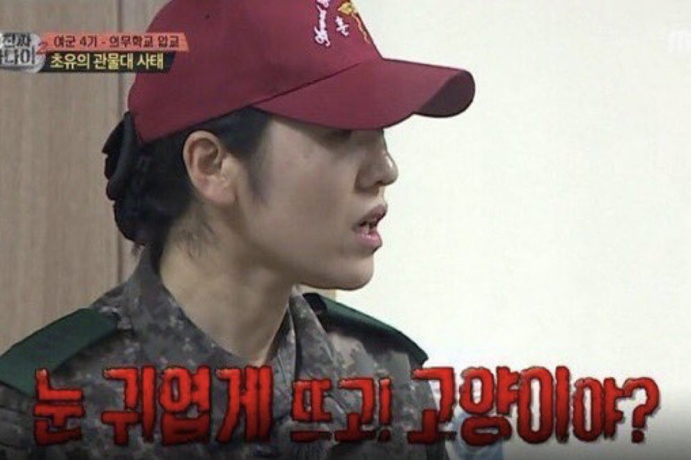 ʚ 삔류 ɞ tweet media