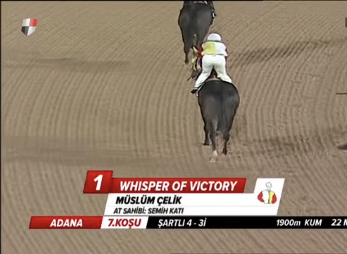 semih katı tweet media