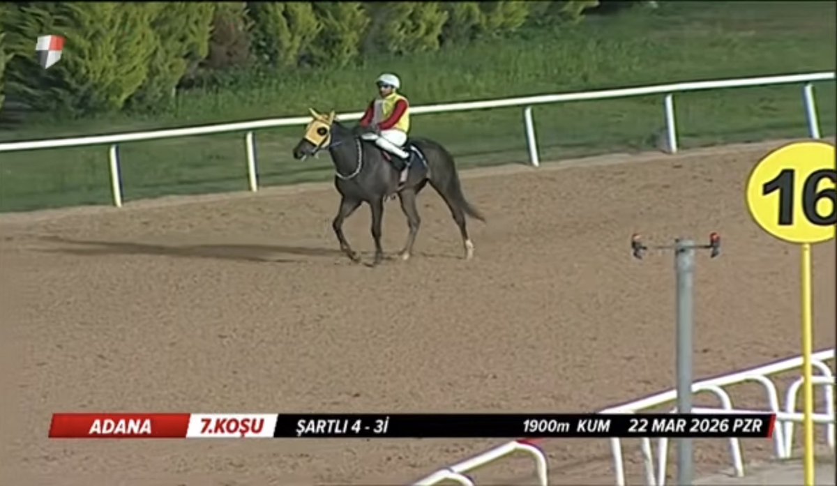 semih katı tweet media