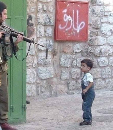 MrSam🔻Plombier-IslamoVTTiste🇫🇷 🇵🇸🇨🇩🇿🇦 tweet media