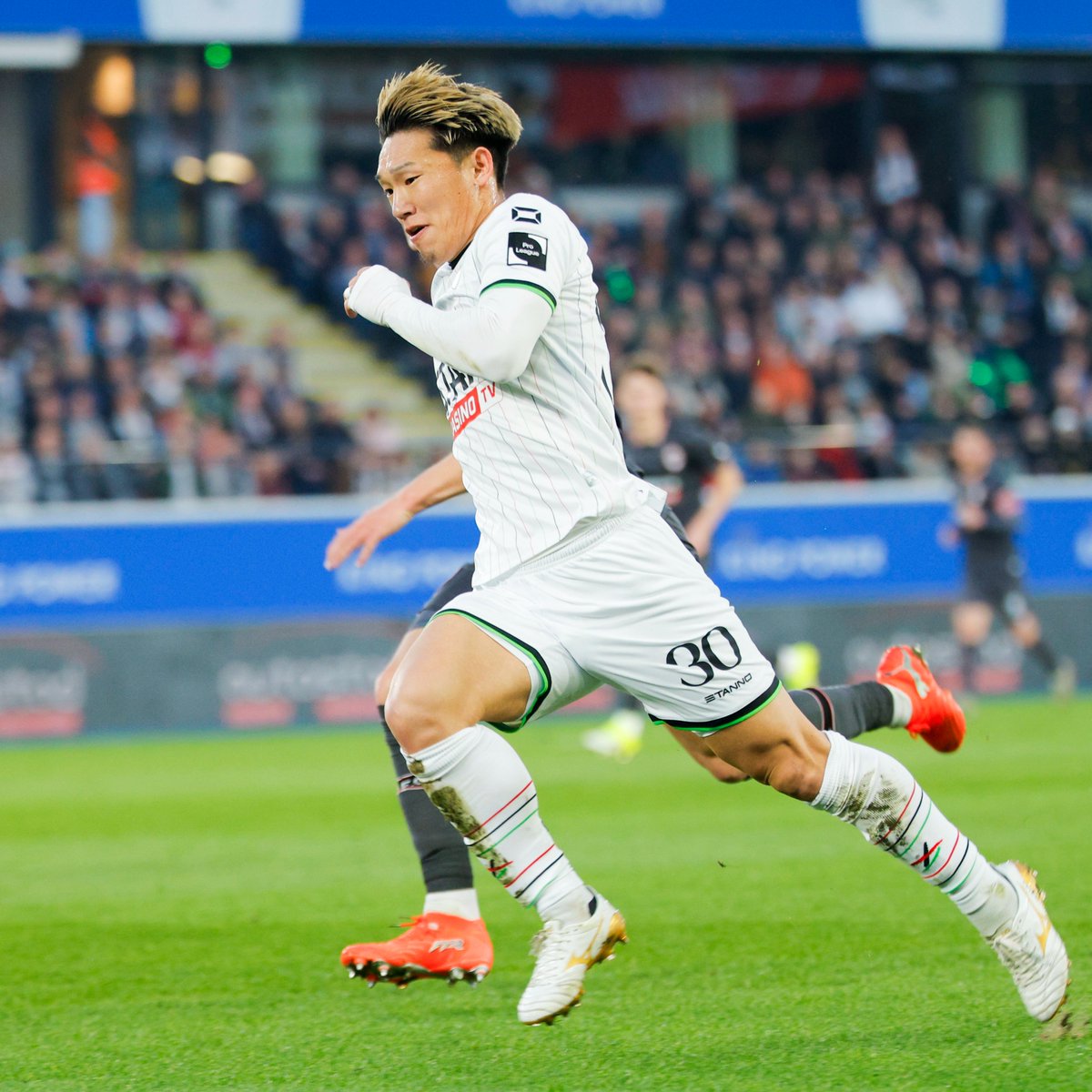 OH Leuven tweet media