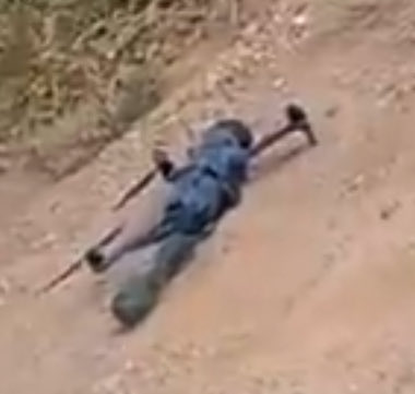 Pernicious Propaganda tweet media