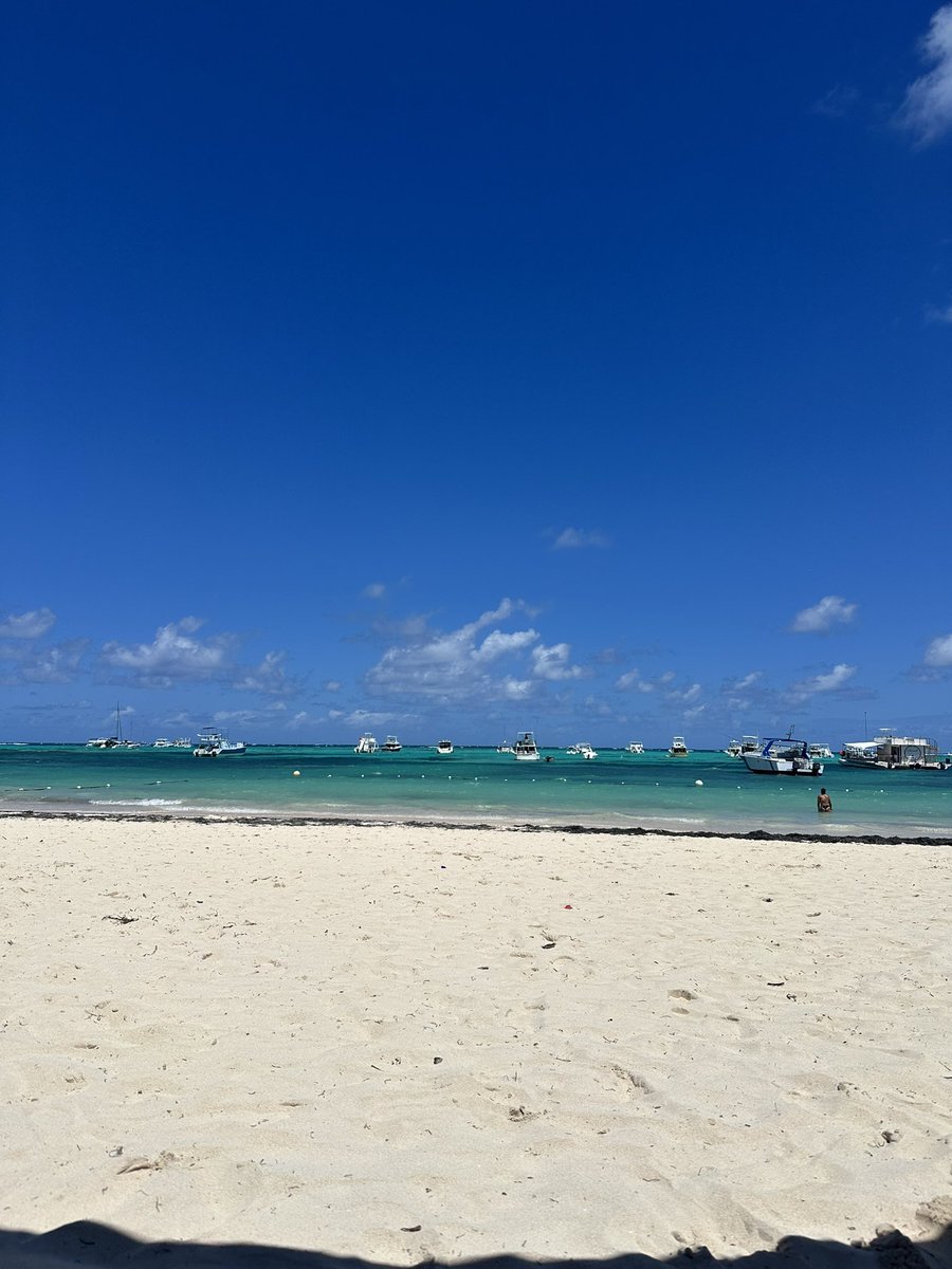 jaalbi_'s tweet photo. ☀️ https://t.co/TjP2TijnHo