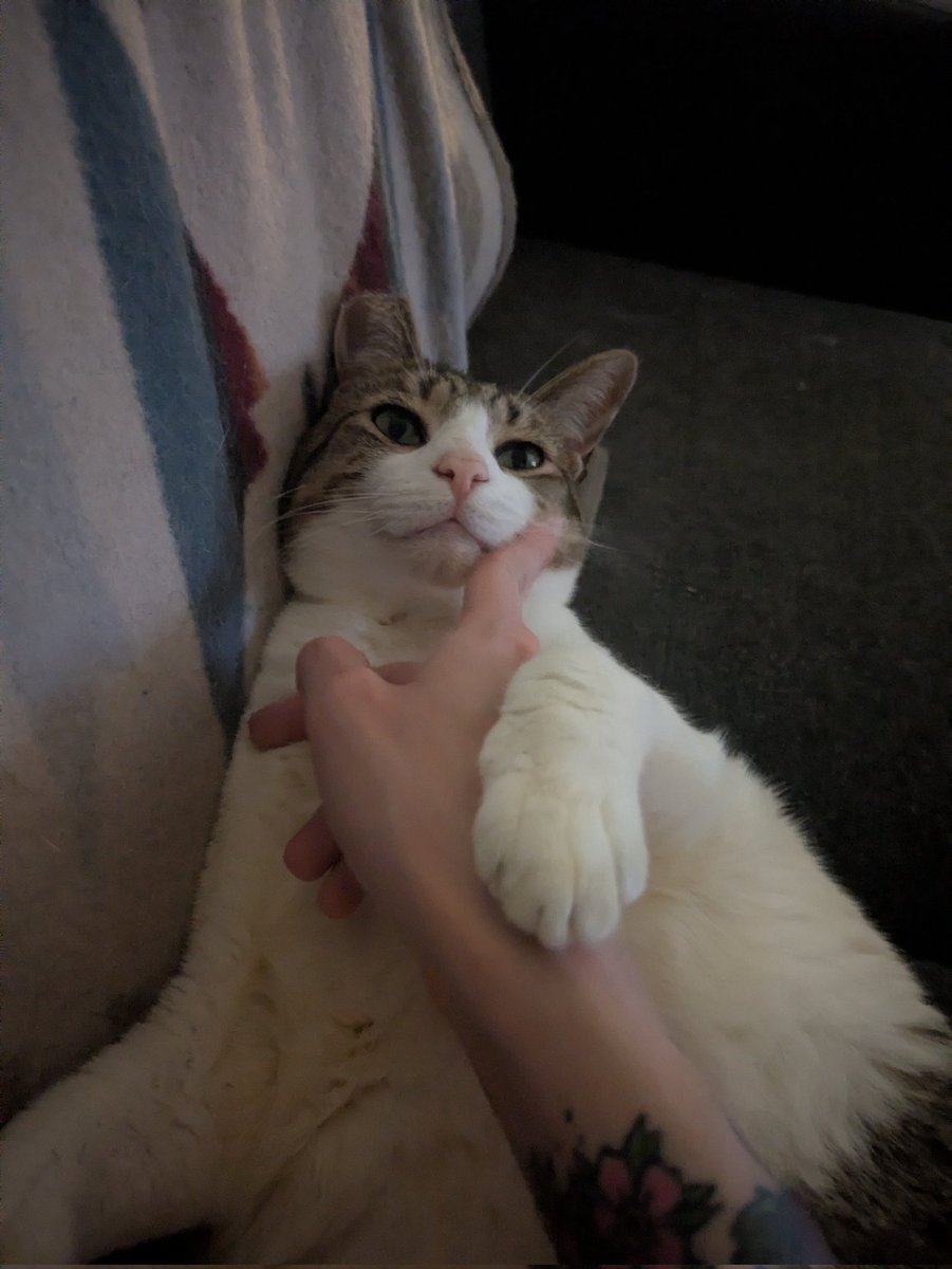 Beefaroni & Marvin 🍖 tweet media