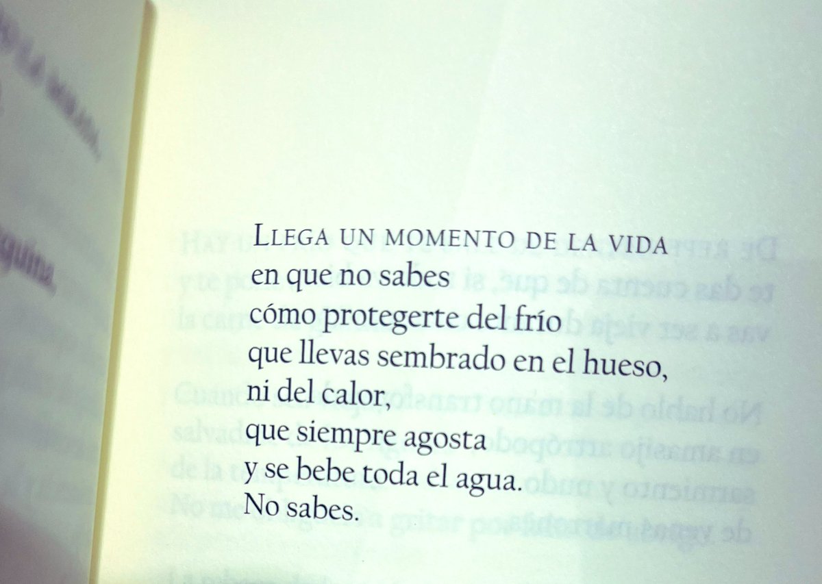 simón partal tweet media