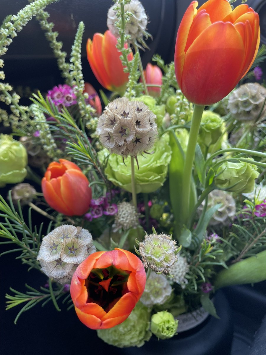 Ivette Arellano 🧘🏼‍♀️ tweet media