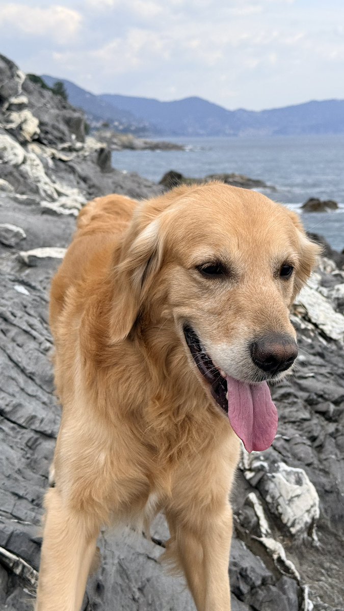 𝓻𝓮𝓪𝓵𝓭𝓪𝓷𝓷𝓷𝓪𝓵𝓮𝓼𝓼𝓪𝓷𝓭𝓻𝓸🐬 tweet media