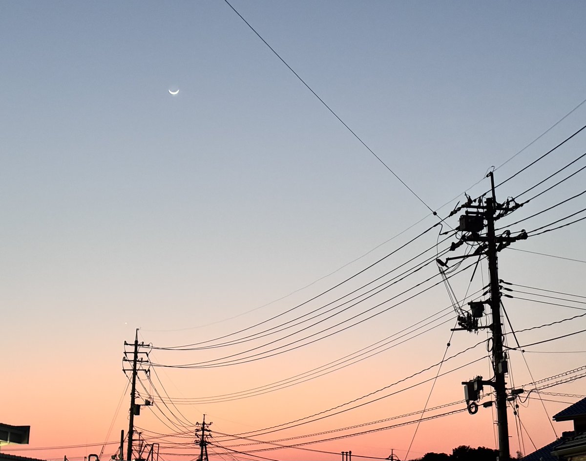 海の近くに住みたい tweet media