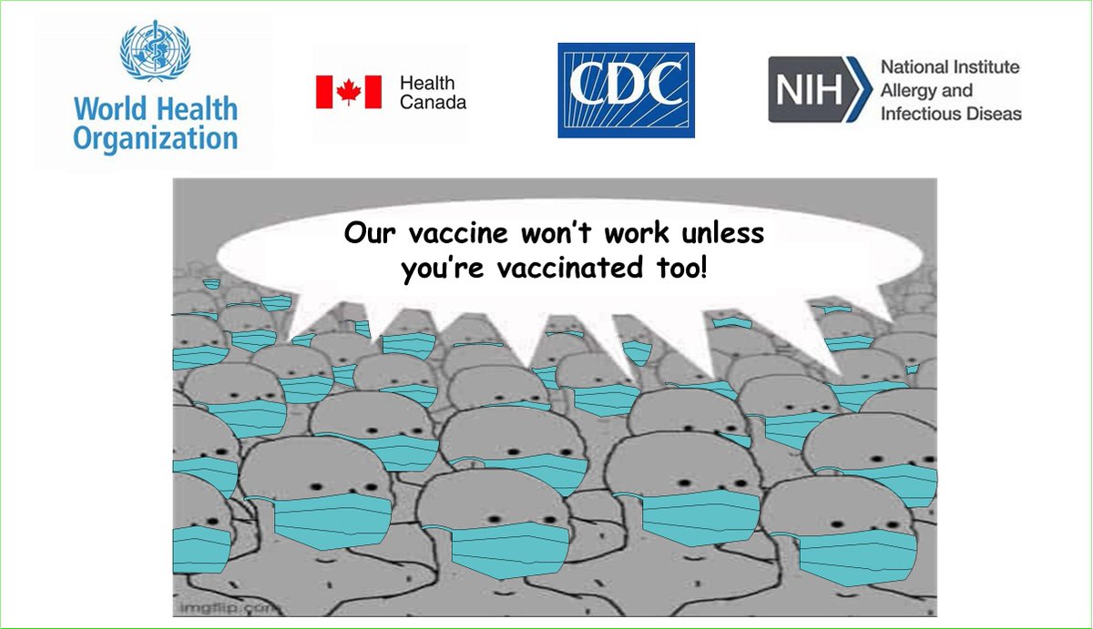 Tim Ferguson @1_TMF_ tweet media