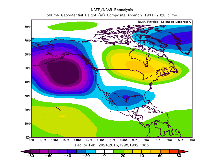 Ethan Sacoransky tweet media