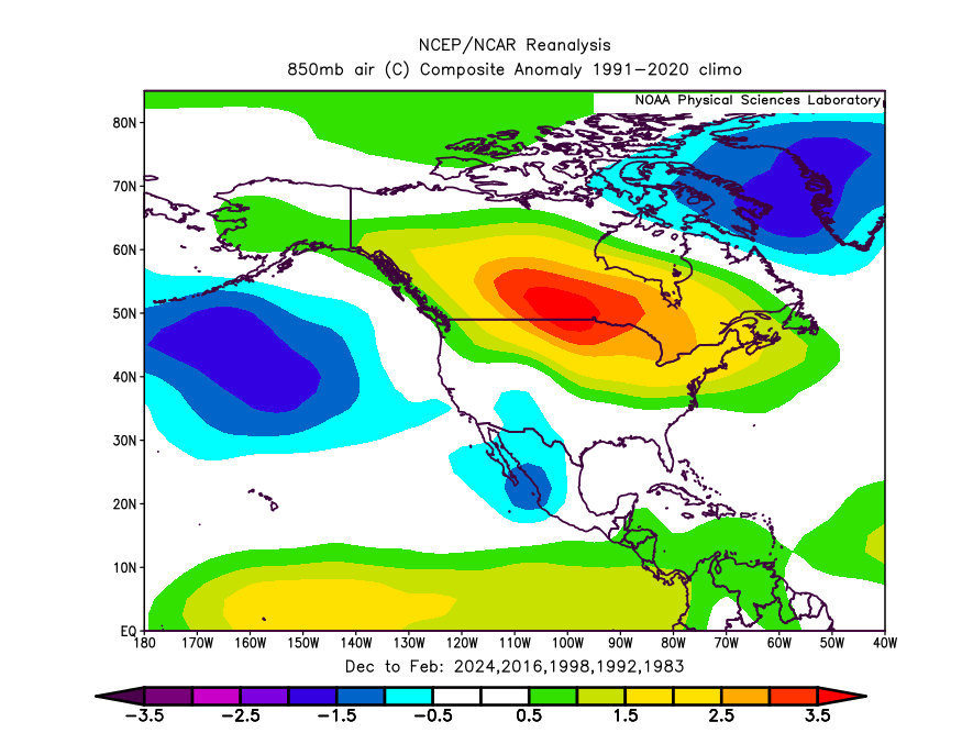 Ethan Sacoransky tweet media
