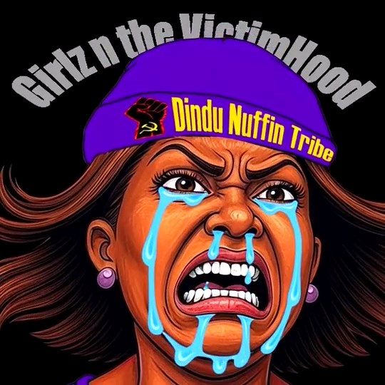 🇺🇸 DeWOKE 🇺🇸 tweet media