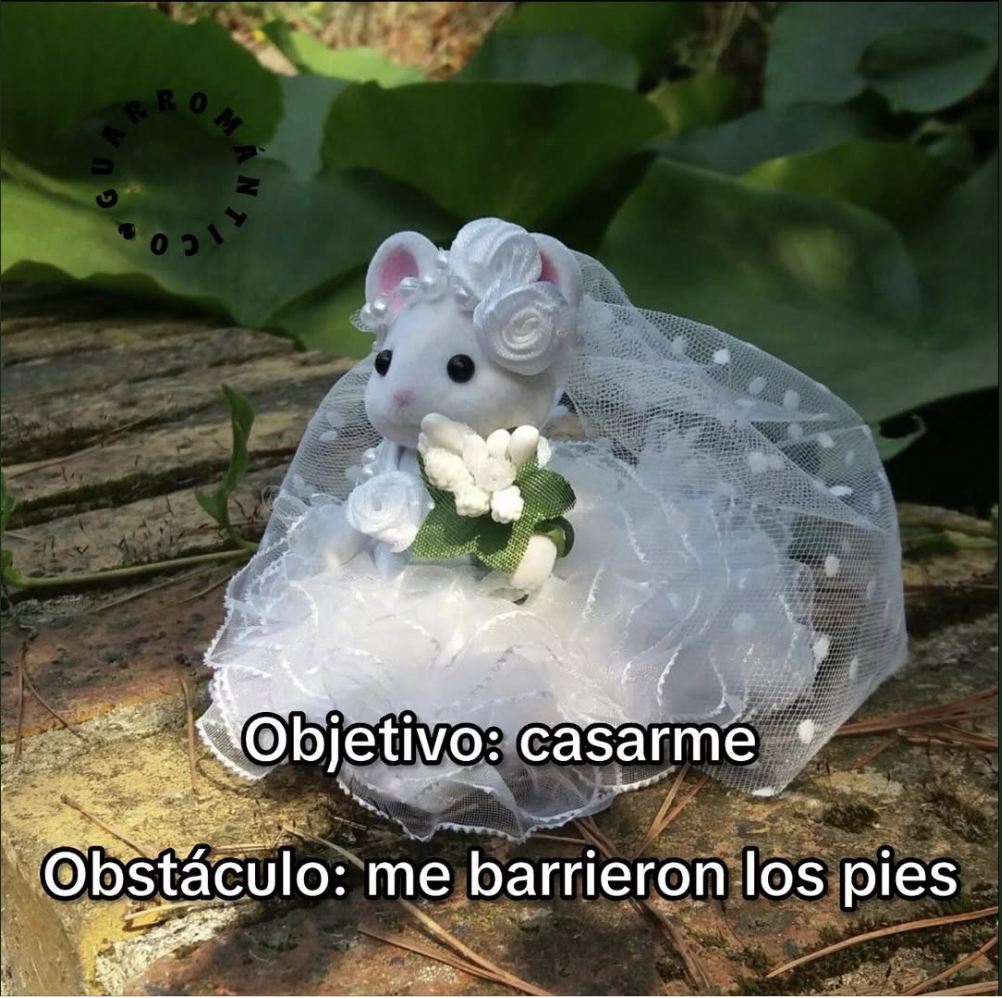 El Guarromántico tweet media