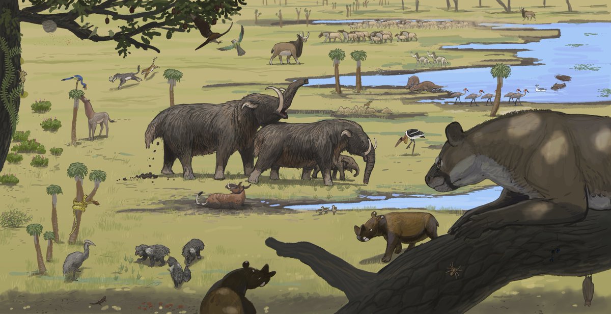 Sama Hoole tweet media