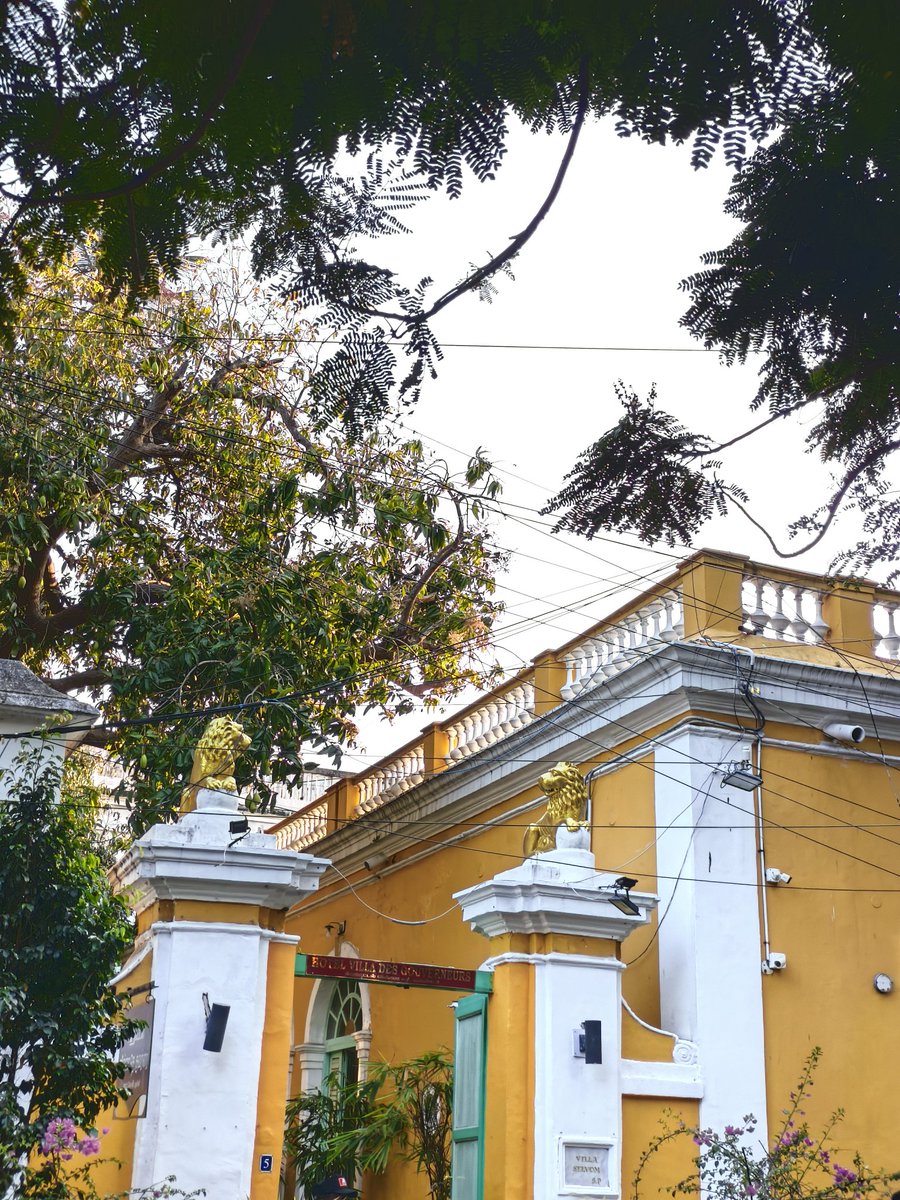 rizz khalifa tweet media