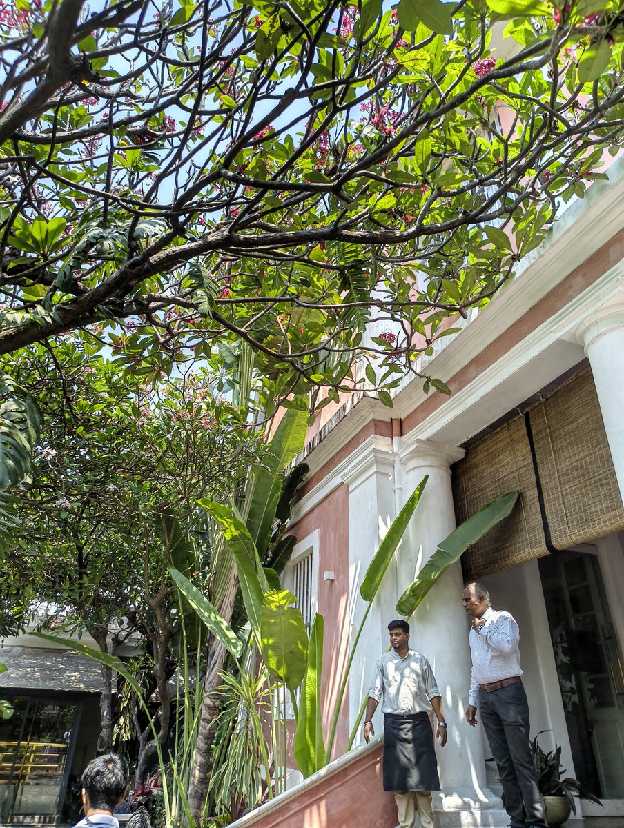 rizz khalifa tweet media