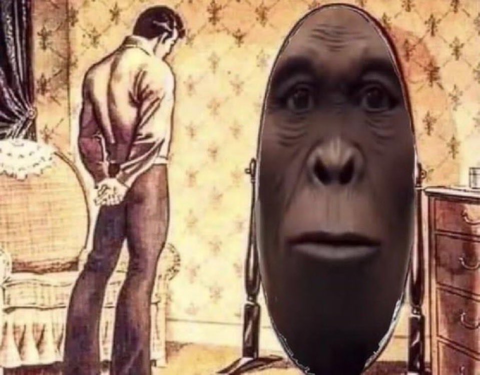 ⚜️Prosper⚜️ tweet media