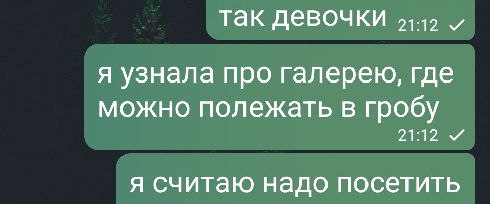 Подружка Бастрыкина tweet media